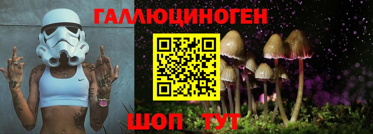 Псилоцибиновые грибы ЛСД Канаш